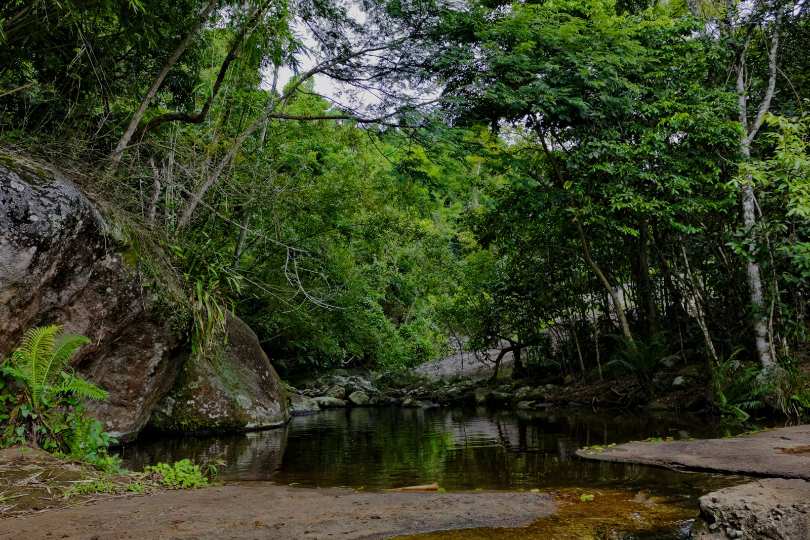 Poço natural cercado pela floresta na Trilha da Água Branca, em Ilhabela